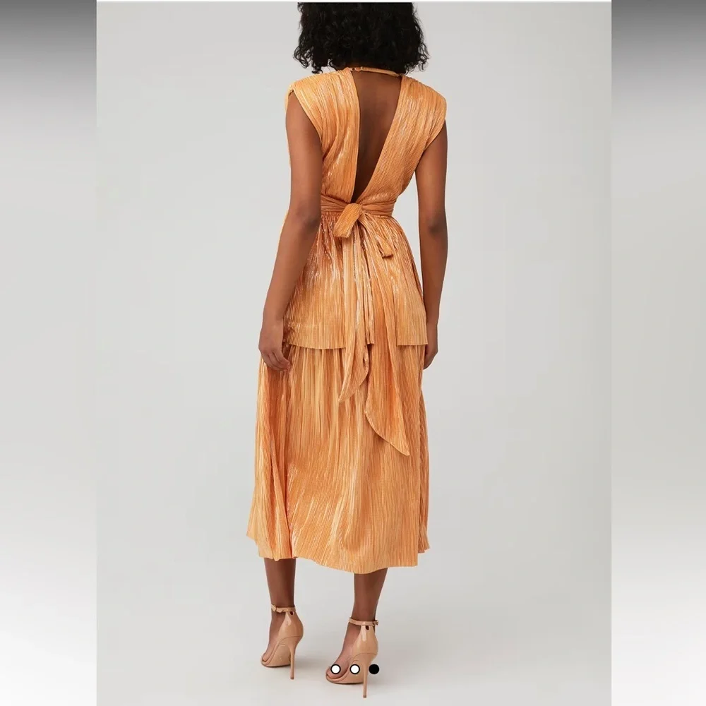 Sabina Musayev Ophelia Plissé Lurex Midi Dress - Picture 3 of 8